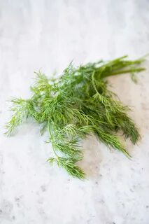 تصویر 5 از فروش عمده شوید خشک توتونی تازه + تحویل فوری تهران و شهرستان‌ها
